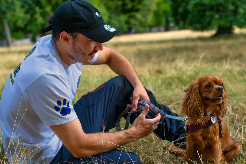4 Paw Friend dog walkers outdoors with a group of dogs