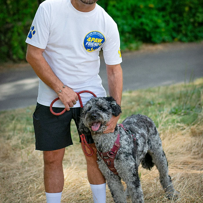A dog carried by a 4 Paw Friend walker in a South London park.