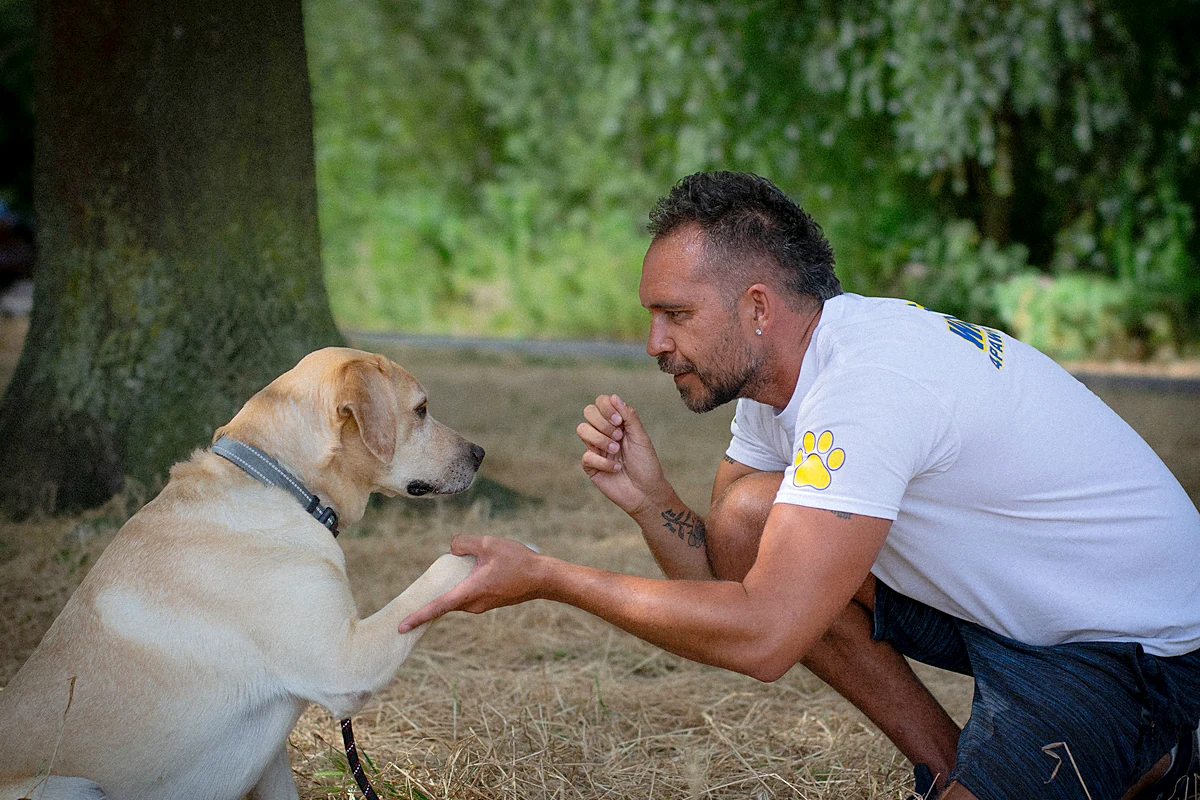 A 4 Paw Friend walker shaking paws with a labrador in a South London park.