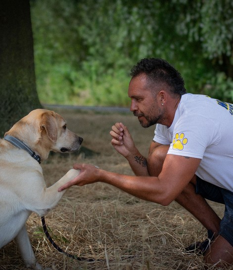 Luke, dog walker at 4 Paw Friend, with a labrador in South London.