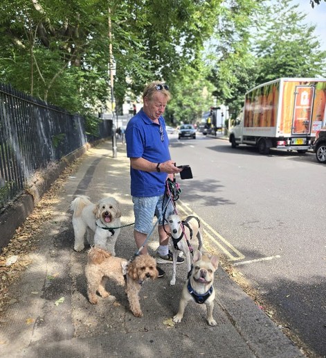 Steve, senior dog walker at 4 Paw Friend, out with a group of dogs.
