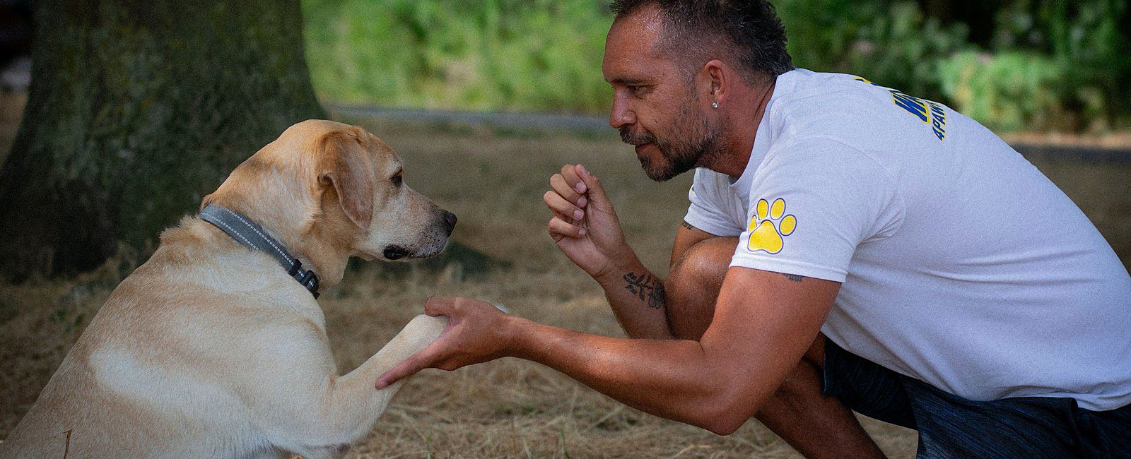A dog settled at home with 4 Paw Friend
