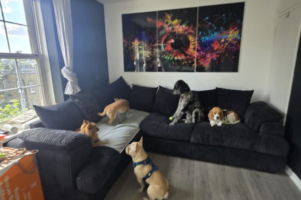 WhatsApp Image 2025-09-20 at 16.01.34_3c3477c9